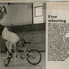 Bicycle Safety Show